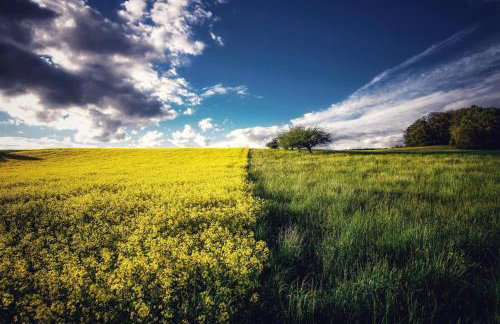 Secret Garden - Foto 70