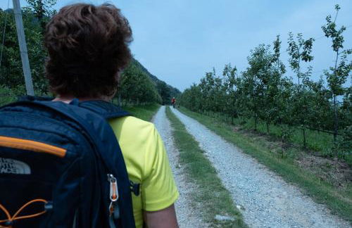 Bargiolina - Foto 62