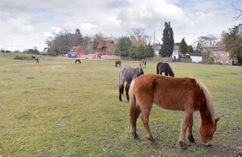 Lantern Cottage - Photo 18