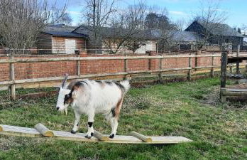 Blashford Manor Holiday Cottage - The Dartmoor Cottage - Foto 20