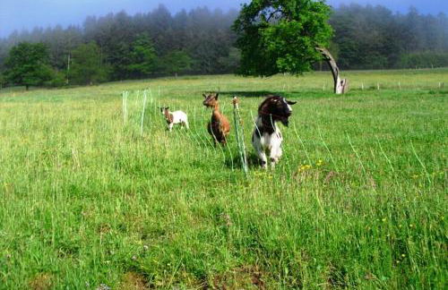 Comfortable Holiday Home in a Beautiful Location - Foto 23