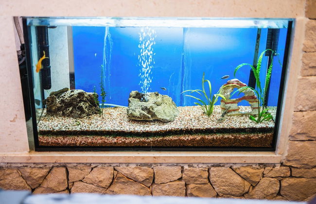 M & J Central Suites - Photo 64