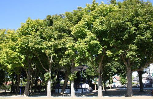 Gîte chez Louisette - Foto 19