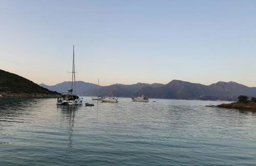 Villa les palmiers -Stretta di i mandarini - Foto 32