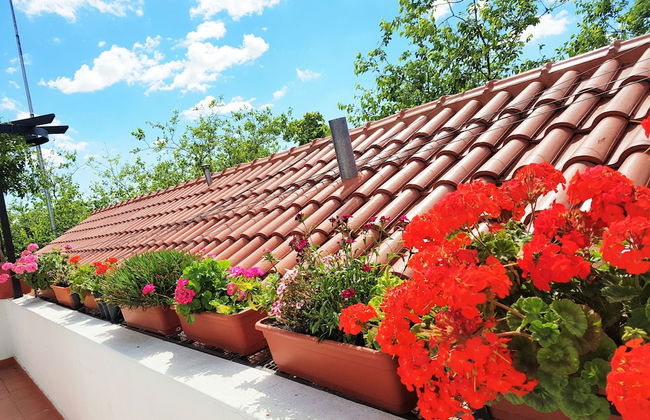 Azul Departamentos - Foto 46