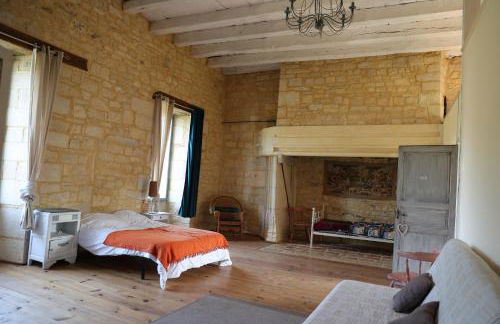 Château de Saint Chamarand - L'AILE Renaissance & LA TOUR médiévale - Foto 10