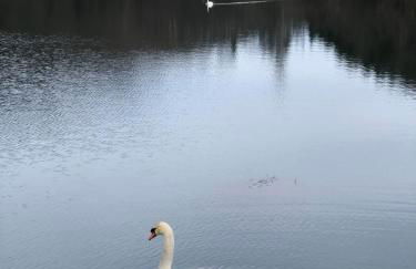 Schönes Apartment mit Balkon Aggertalsperre - Foto 17