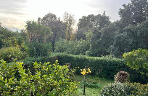 CAVALIERE LE LAVANDOU Au Chêne Liège - Foto 15