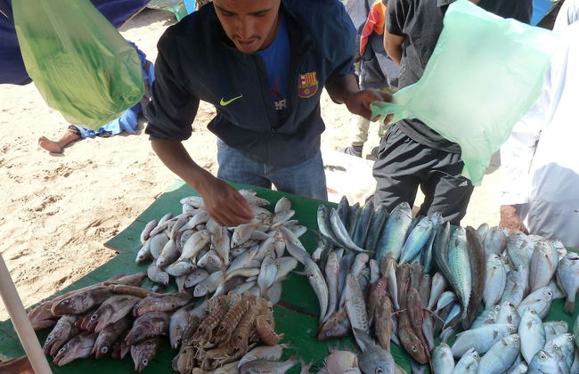 Le Jardin aux Etoiles - Foto 68