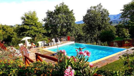 L'Antico Cipresso - Foto 4