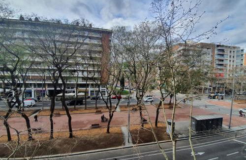 Josep Tarradellas 80 - Foto 7