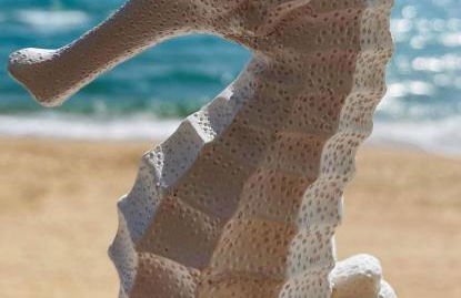 Caballito de Mar - Foto 1