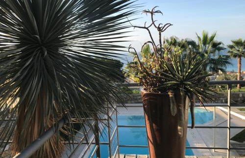 Villa Monet Luxury Home - Photo 8