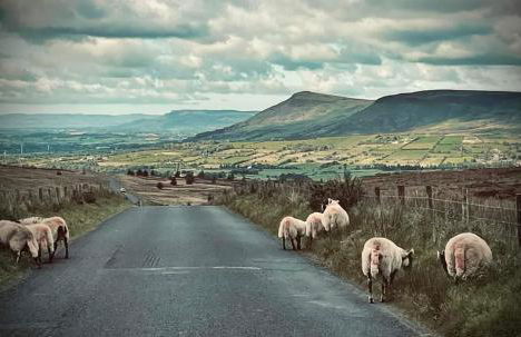 Ballymakeever Appartment - Private Hot Tub - Foto 37