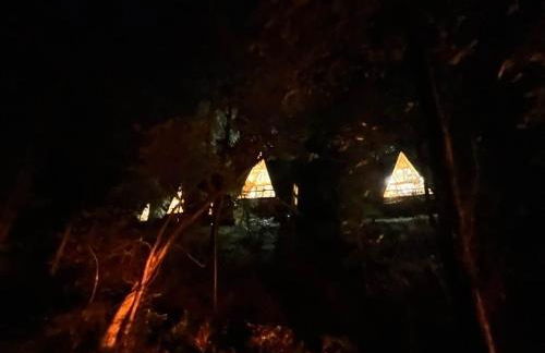 Ozark Retreat-Black Walnut Bungalow - Foto 15