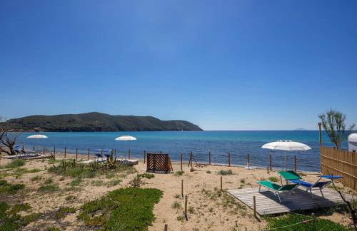 Il giardino di sabbia - Foto 7