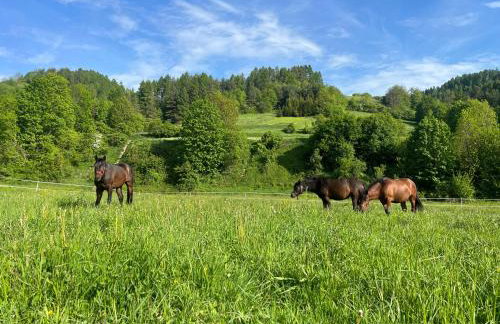 Gorczańskie Domki - Photo 36