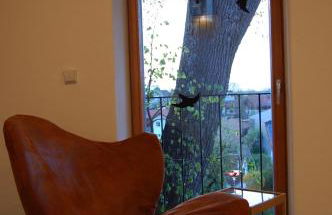 Studio Via Claudia Augusta - Foto 16