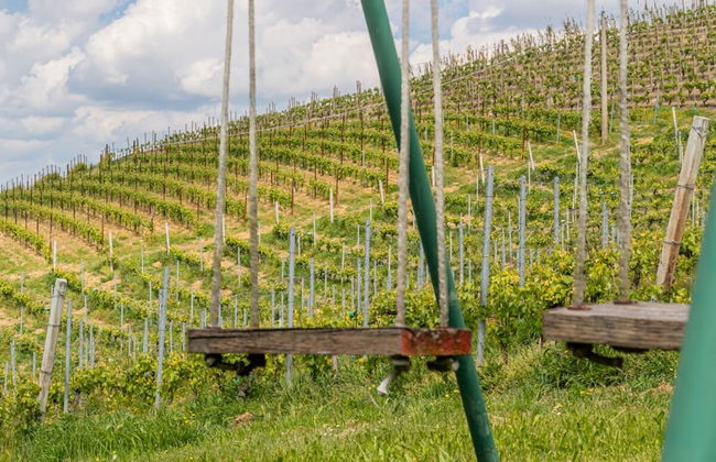 Panorama Villa Nestled Among the Vineyards Langhe - Foto 40