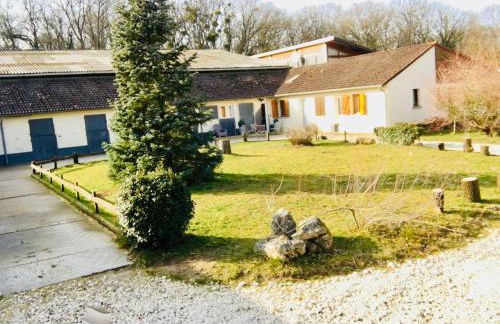 Gite Ecuries Vineuil Jump - Foto 21