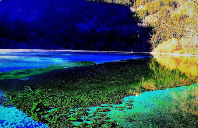 Cheng Du Wifc Suites -YYC Preferred - Photo 23