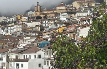 Bodeguita del Tiétar - Foto 53