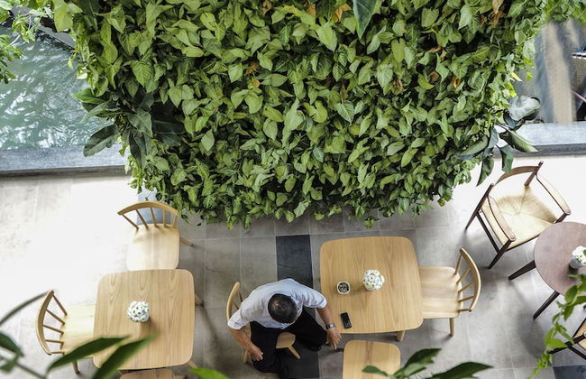 Babylon Garden Condotel - Photo 46