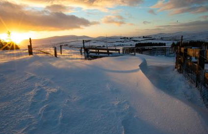 The High Croft - Foto 21