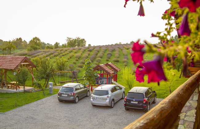 apartmani lavanda - Foto 48