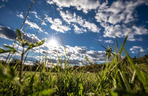 Agriturismo Il Sambuco - Foto 29