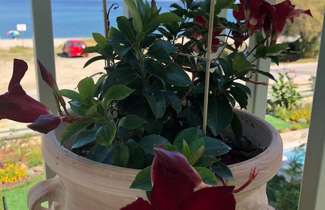 Sea and Sun Luxury Pools' Villas - Foto 57