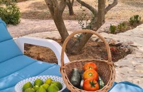 Villa Bubica- cozy holiday home in rural area with pool - Photo 46