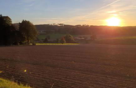 FeWo Harling - Waldoase - Foto 16