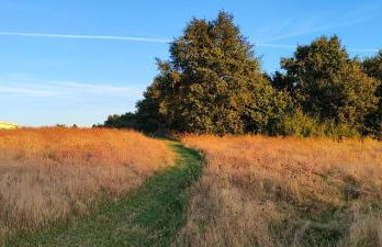 Domaine équestre de la Chênaie - Foto 50