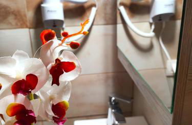 Zika's House - Foto 39