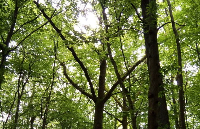 Holiday Apartment Lautertalblick - Photo 12