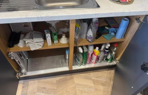 Lakeside Penthouse View - Photo 30