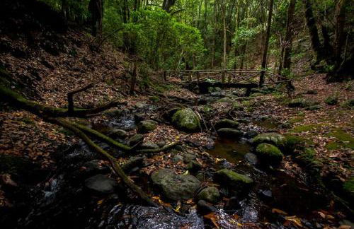 Casita Bella Vista - Foto 58