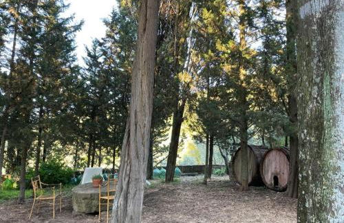 Agriturismo Fattoria Poggio di Fiesole - Foto 34