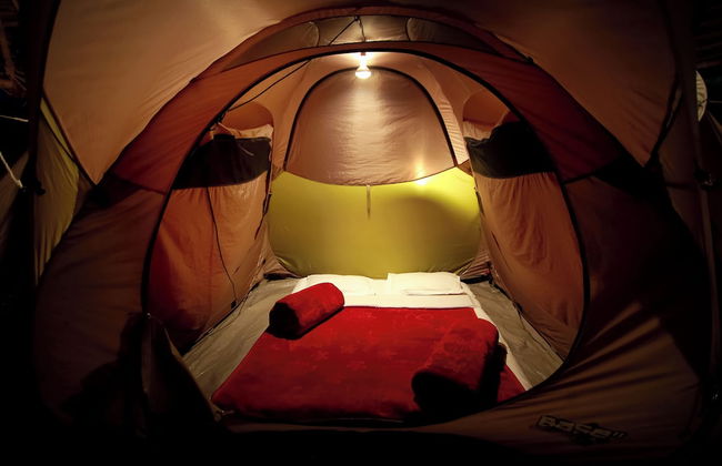 The Pear County - Foto 4