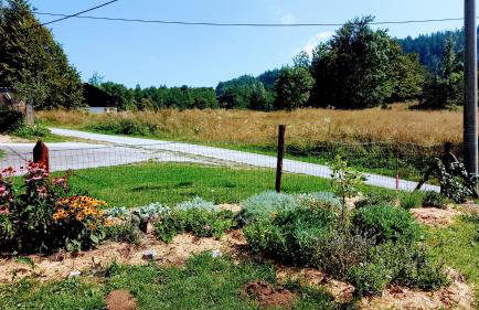 Apartman Barbara - Foto 13