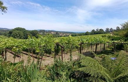 Orion Guest Villa Casais - Foto 72