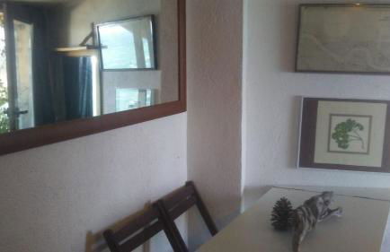 Barca Serena - Foto 71