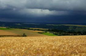 Rheintalblick St Goar Loreley - Foto 19