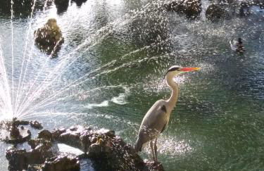 Dal Pescatore - Foto 28