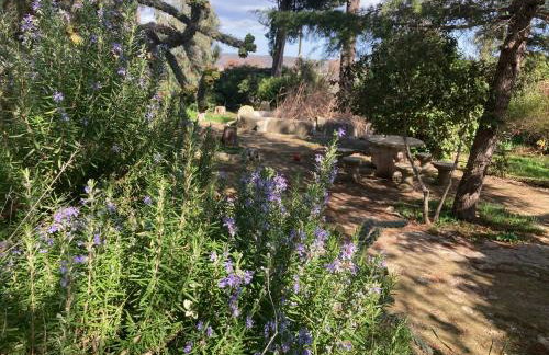 Agriturismo Teatro del grano - Foto 10