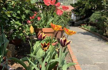 Resort Villa Rosa Maria - Foto 5