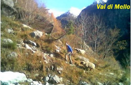 '' Al Pèrgul '' - Photo 13