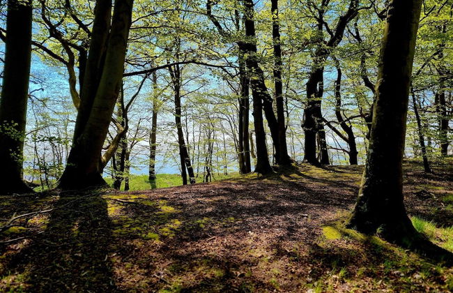 4 Person Holiday Home in Faxe Ladeplads-by Traum - Foto 21