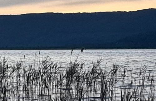 Fiori e farfalle apartment - Foto 6